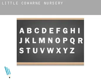 Little Cowarne nursery